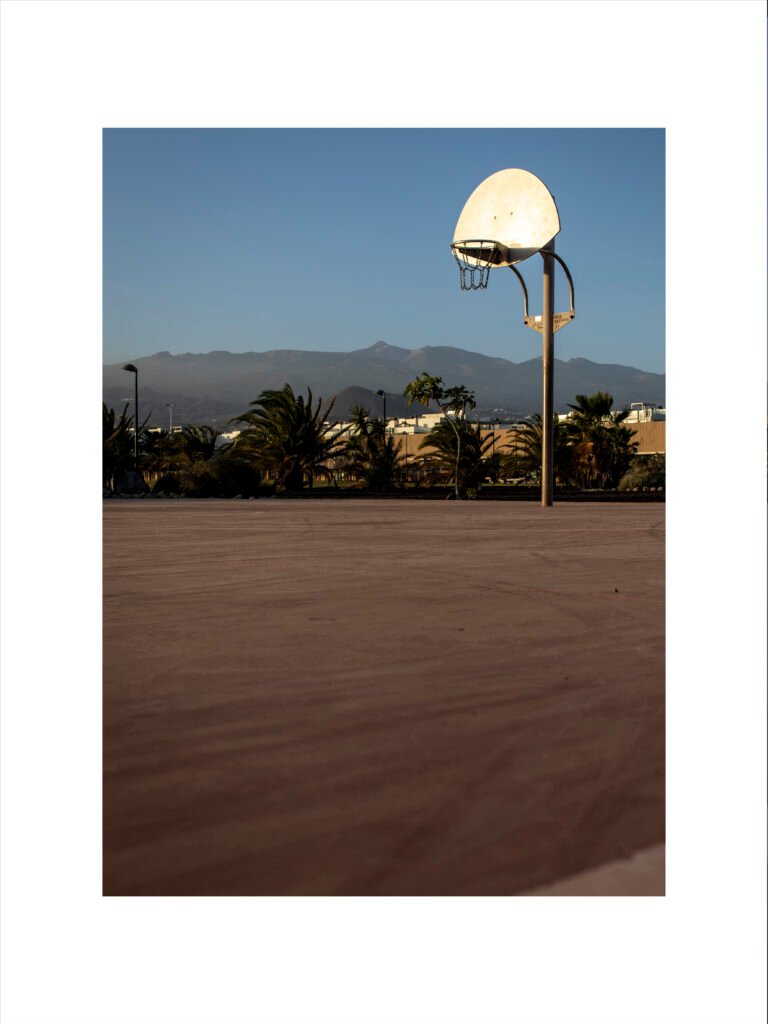 BasketTNF