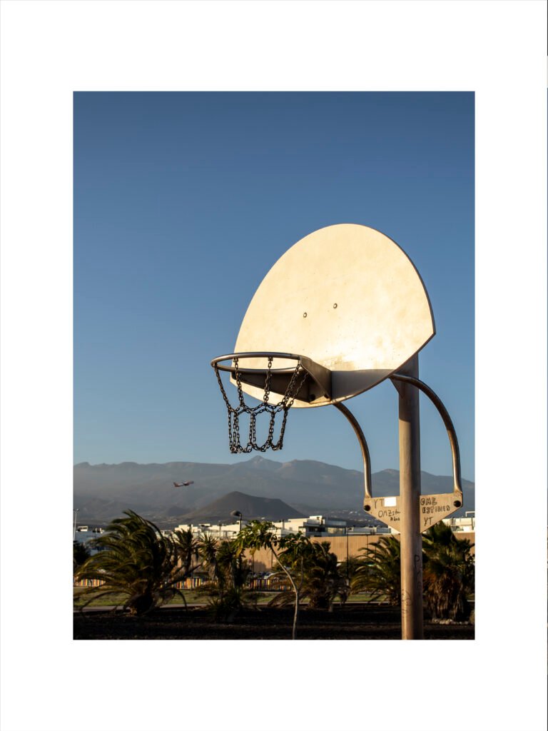 BasketTNF2