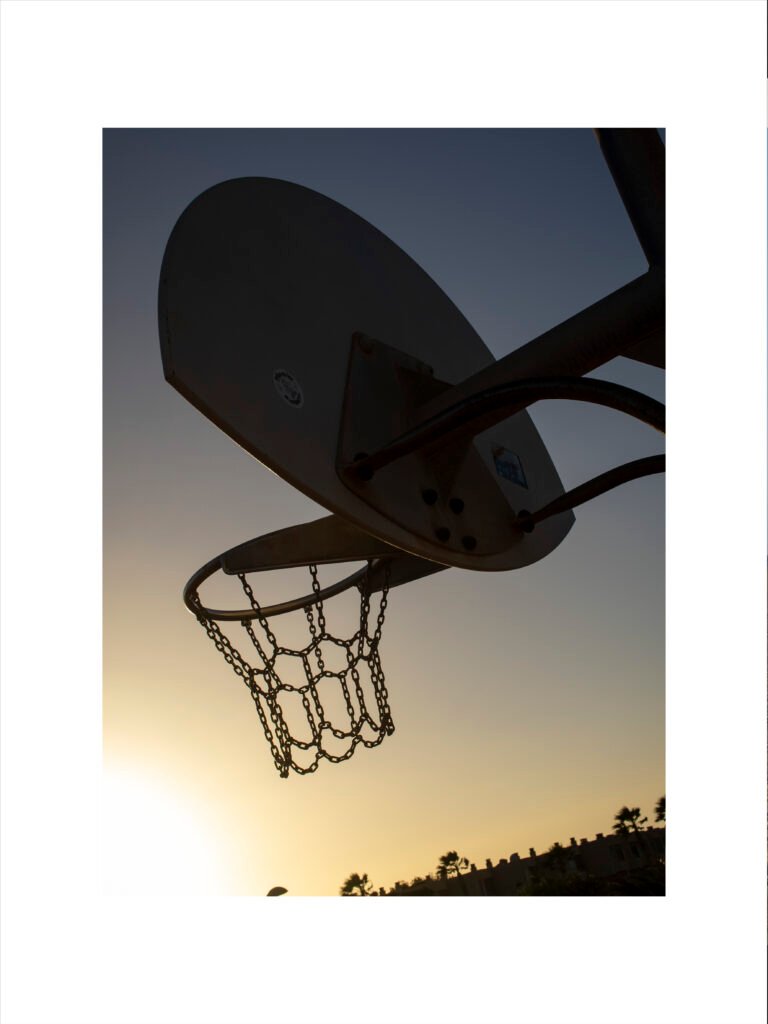 BasketTNF3