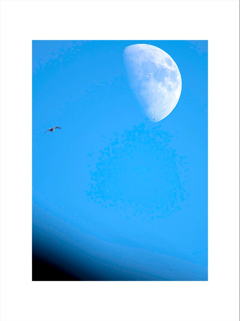 BlueMoon